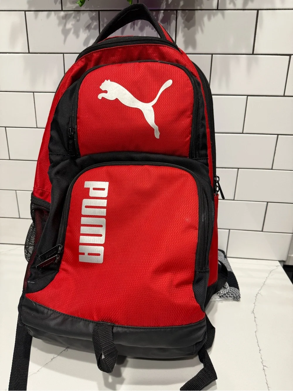 Puma